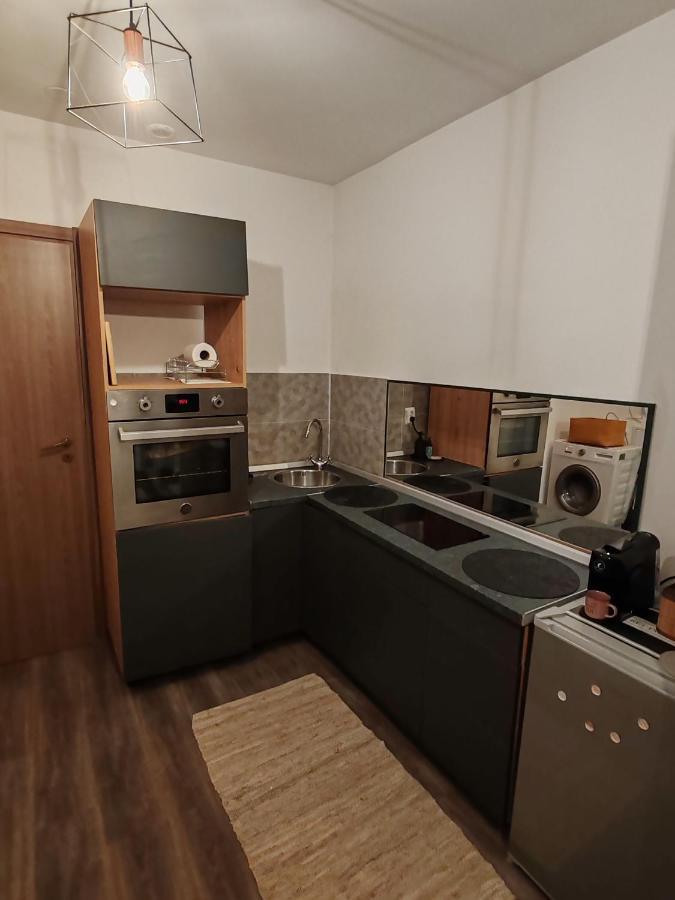 Studio Grigio Apartment Sibiu Exterior photo